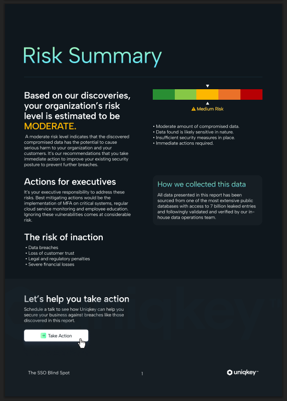 Risk Summary Report